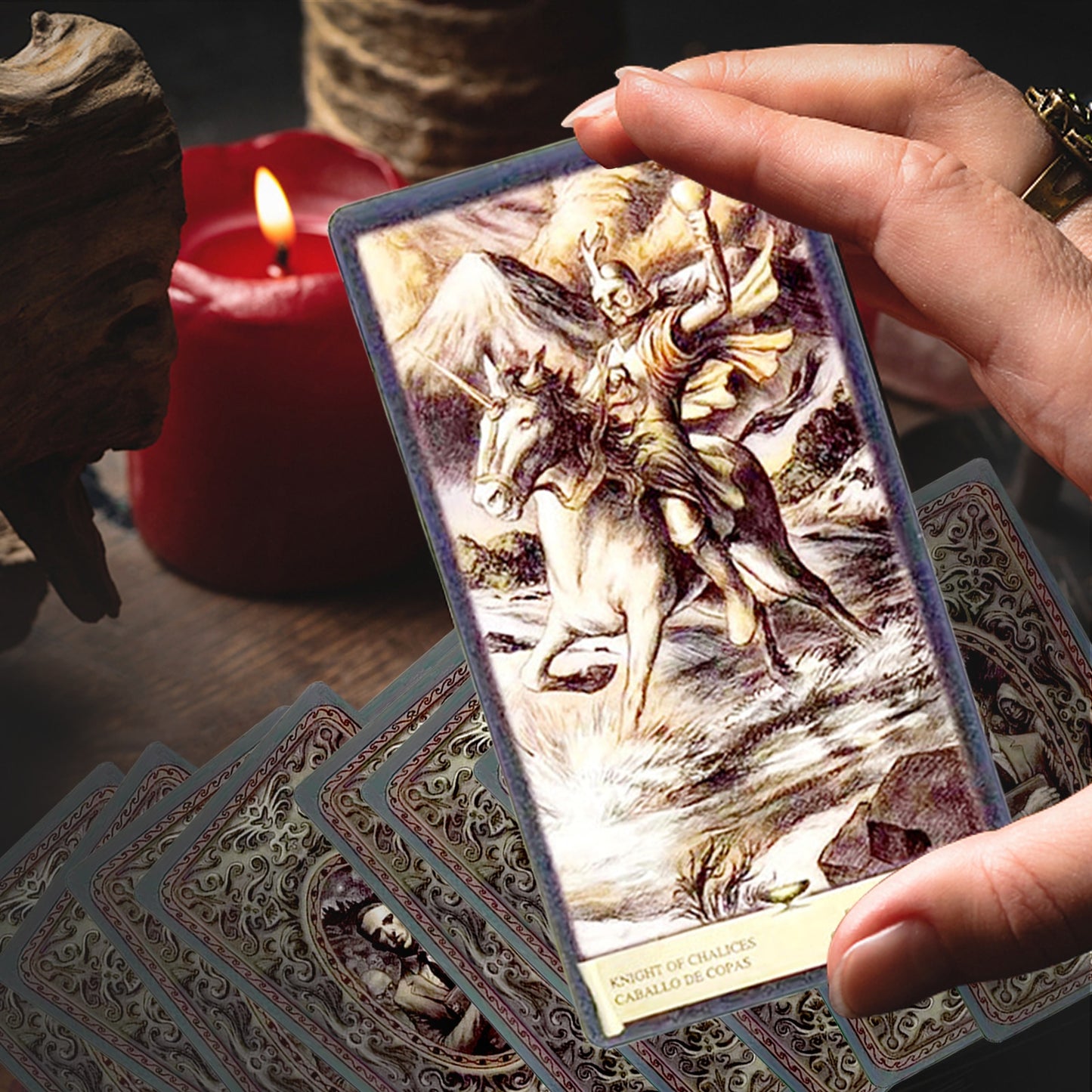 Dark Grimoire Tarot Cards